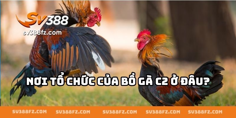 Nơi tổ chức của bồ gà C2 ở đâu?