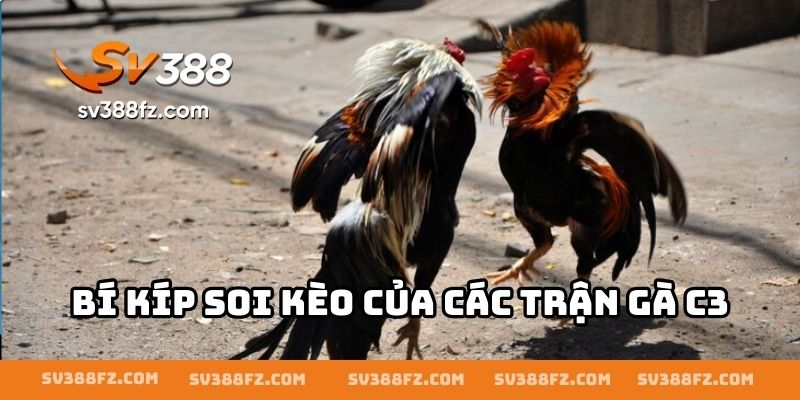 Bí kíp soi kèo của các trận gà C3