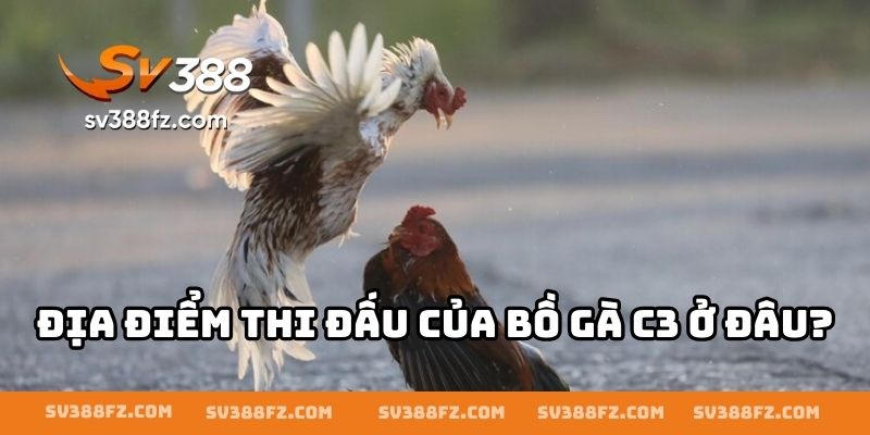 Địa điểm thi đấu của bồ gà C3 ở đâu?