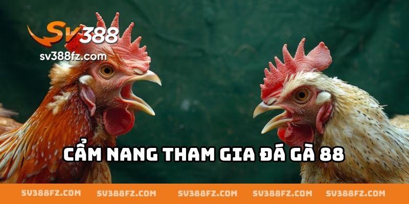 Cẩm nang tham gia đá gà 88