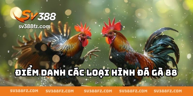Điểm danh các loại hình đá gà 88