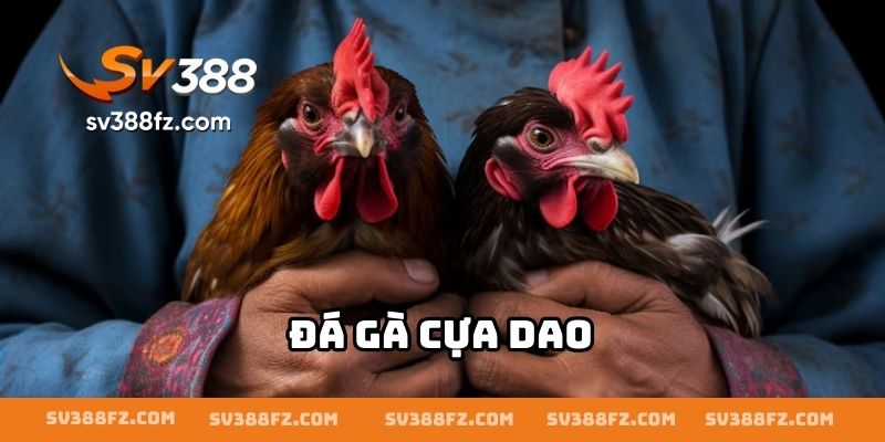 Đá Gà Cựa Dao