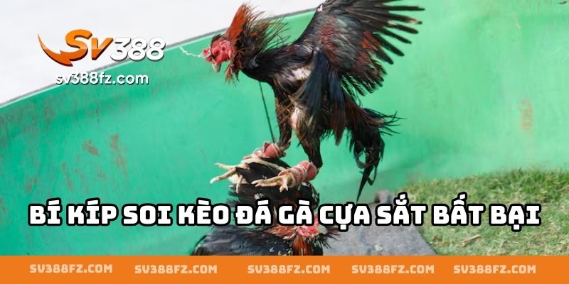 Bí kíp soi kèo đá gà cựa sắt bất bại