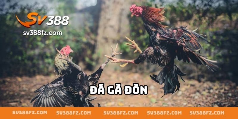 Đá Gà Đòn