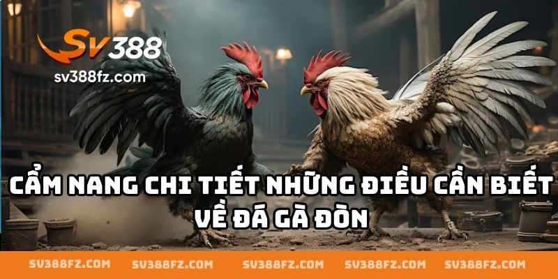 Cẩm nang chi tiết những điều cần biết về đá gà đòn