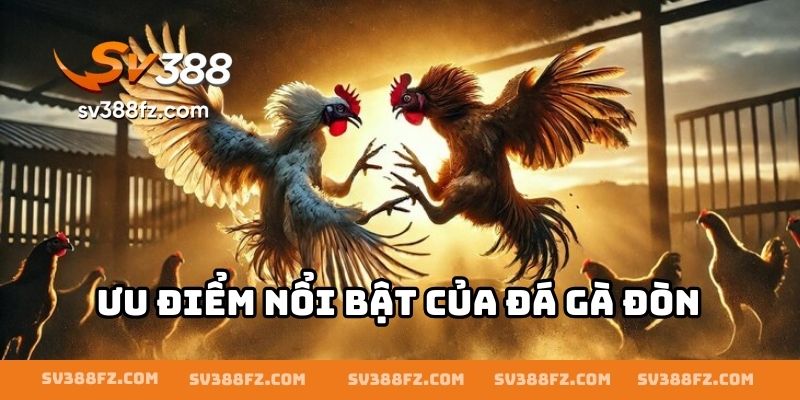 Ưu điểm nổi bật của đá gà đòn